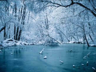 Dünnes Eis in Wiesbaden kann lebensgefährlich sein: Stadt warnt besonders vor Schiersteiner Hafen