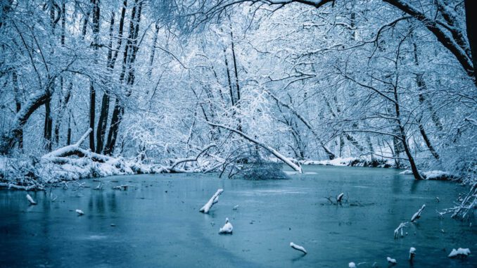 Dünnes Eis in Wiesbaden kann lebensgefährlich sein: Stadt warnt besonders vor Schiersteiner Hafen Dünnes Eis in Wiesbaden kann lebensgefährlich sein: Stadt warnt besonders vor Schiersteiner Hafen