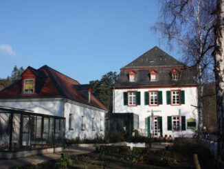 Frühling suchen und basteln: Familienangebot in der Fasanerie am 21. Februar