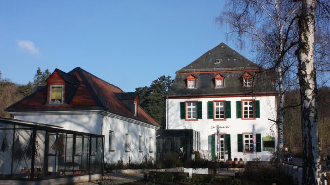 Frühling suchen und basteln: Familienangebot in der Fasanerie am 21. Februar