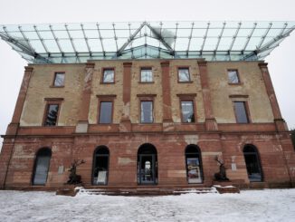 Stadtwald bietet wieder selbstgeschlagene Weihnachtsbäume an