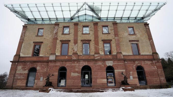 Stadtwald bietet wieder selbstgeschlagene Weihnachtsbäume an